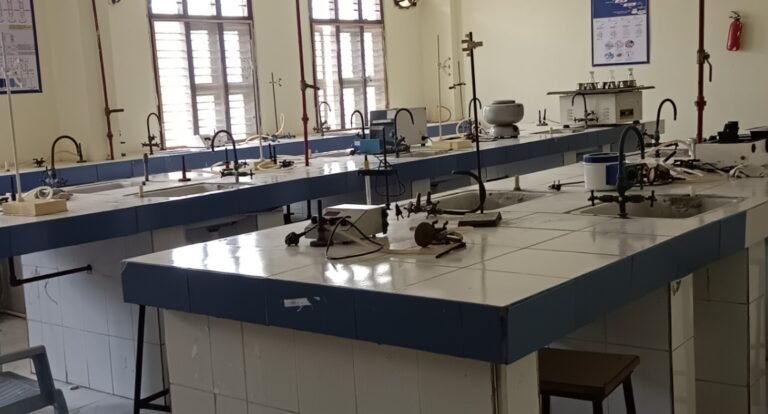 Why Princeton Institute is the Perfect Place for Women in STEM